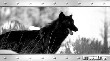 Black Wolf Wallpaper capture d'écran 3