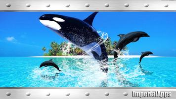 Orca Wallpaper Affiche