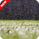 Beautiful Rain Wallpaper