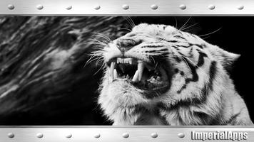 Angry White Tiger Wallpaper capture d'écran 2
