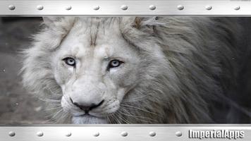 White Lion Wallpaper تصوير الشاشة 1