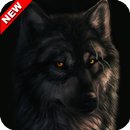 Black Wolf Animal Wallpaper-APK