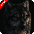 Black Wolf Animal Wallpaper APK