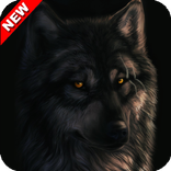 Black Wolf Animal Wallpaper