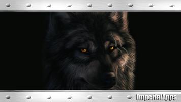 Black Wolf Animal Wallpaper Affiche