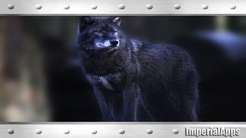 Black Wolf Animal Wallpaper capture d'écran 2