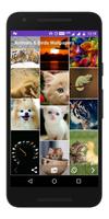 Animals & Birds - Wallpapers تصوير الشاشة 1