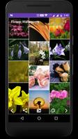 Flowers - Wallpapers & Photos poster