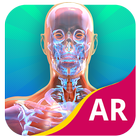 Your Body AR иконка