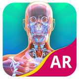 Your Body AR icon