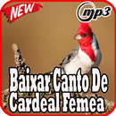 Canto De Cardeal Femea HD Mp3 APK