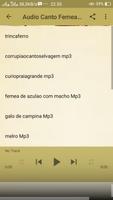 Canto Femea De Azulao New Mp3 screenshot 3