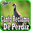 Canto Reclamo De Perdiz Mp3