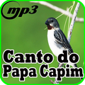Canto Do Papa Capim New Mp3