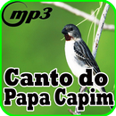 Canto Do Papa Capim New Mp3 APK