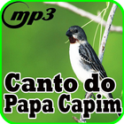 Canto Do Papa Capim New Mp3 أيقونة