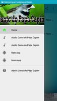 Canto Do Papa Capim New Mp3 ภาพหน้าจอ 1