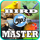 Bird Chirping Master Mp3 APK