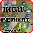 Kicau Burung Pemikat lengkap