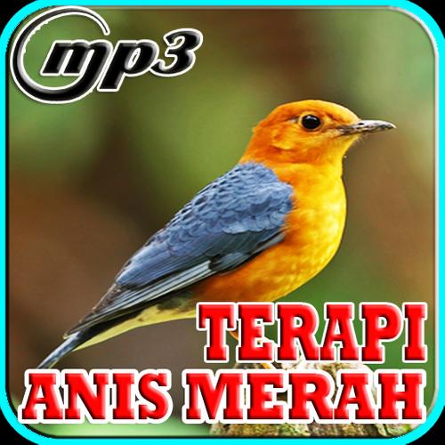 Download Mp3 Terapi Anis Merah Kicau Terapi Anis Merah Mp3 APK for Android Download