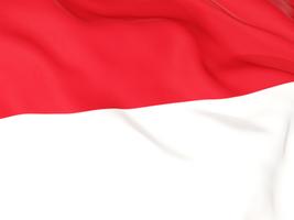 Indonésia Bate-papo imagem de tela 1