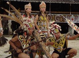 Indonesian Culture capture d'écran 2