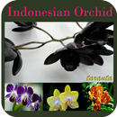 Indonesian Orchid APK