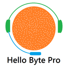 Helobyte Pro icône