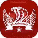 The Cobrahawks Game APK