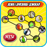 Jenis Lovebird Terbaru