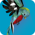 Flying Free Beta