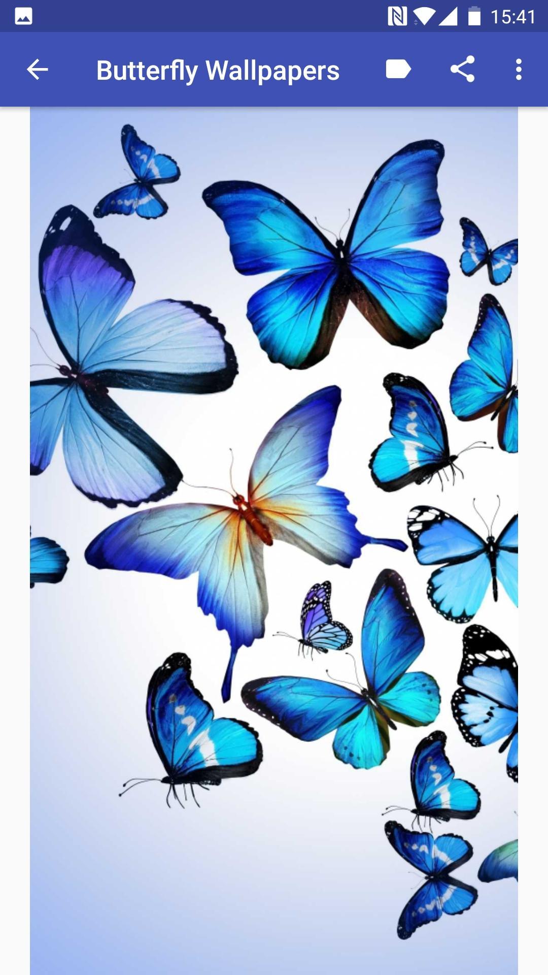 Android 用の Butterfly Wallpapers Apk をダウンロード