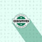 County Executives of America icône