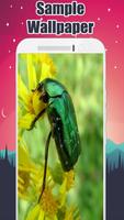 Insect Wallpaper Ekran Görüntüsü 3