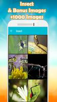 Insect Wallpaper Affiche