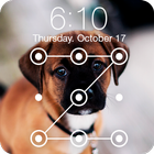Cute Dogs Domestic Pets Beautiful Lock Screen icône