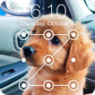 Cute Dogs Labrador HD AppLock Security