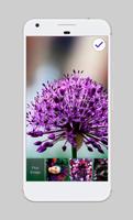 Cute Thin Violet Flowers Girl AppLock Security imagem de tela 3