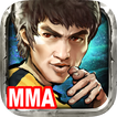 Kung Fu All-Star: MMA Fight