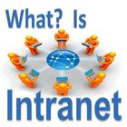 Internet Education ikon