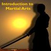 Introduction to Martial Arts
