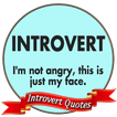 Top Introvert Quotes