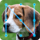 Beagle Dog Puppy Lock App آئیکن