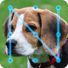 Beagle Dog Puppy Lock App icon