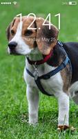 Beagle Dog Puppy Lock App Affiche