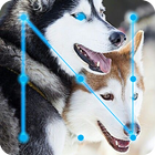 Husky Dogs AppLock-icoon