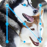 Husky Dogs AppLock