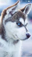 Husky Dogs AppLock تصوير الشاشة 1