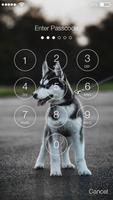 Husky Puppy Dog Lock App 截圖 1