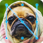 Pug Dog Lock App أيقونة